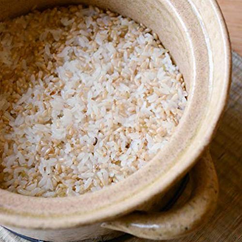Japanese Donabe Cocer Rice Cooking Pot