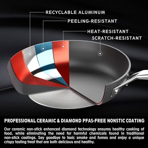 11 Inch Nonstick Frying pan with Lid (11-Inch)