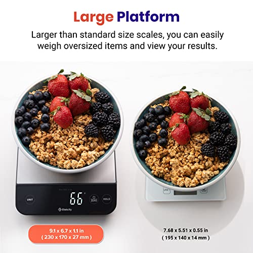 22lb Food Kitchen Scale (Stainless Steel-Silver)