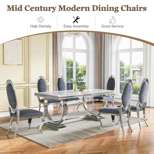 Modern Dining Chairs Set of 2 (Grey/Silver / Set of 2)