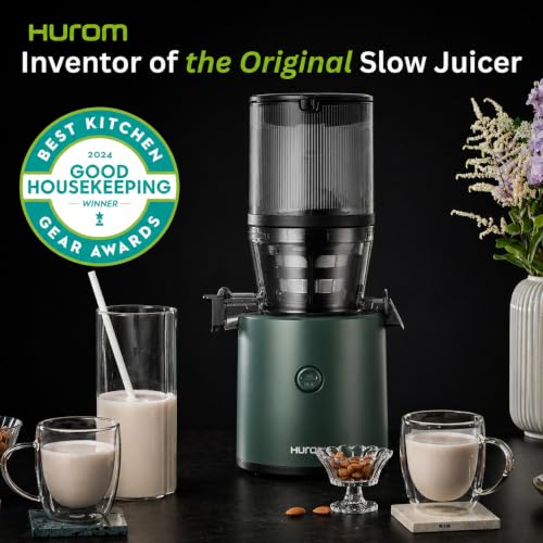 H320 Cold Press Juicer Machine (Kale Slow Juicer)