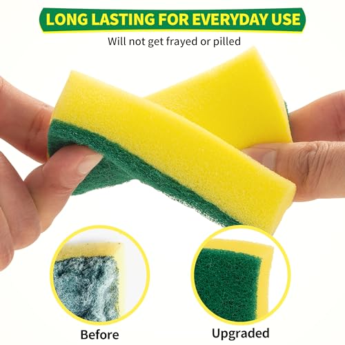 Sponges Kitchen (24 Count)