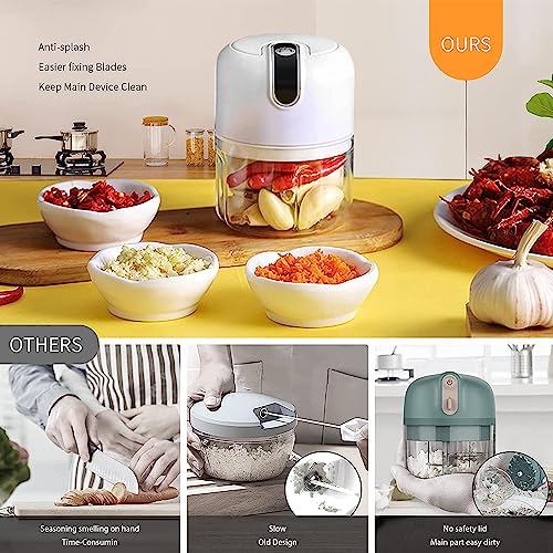 250ML Electric Garlic Chopper