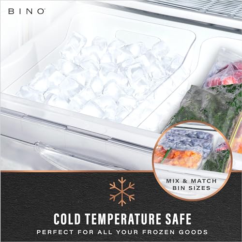 Plastic Organizer Bins (Clear / X-Small)