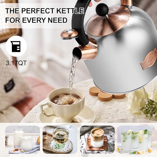 Tea Kettle 3.17QT Stainless Steel Whistling Tea Pot (Silver)