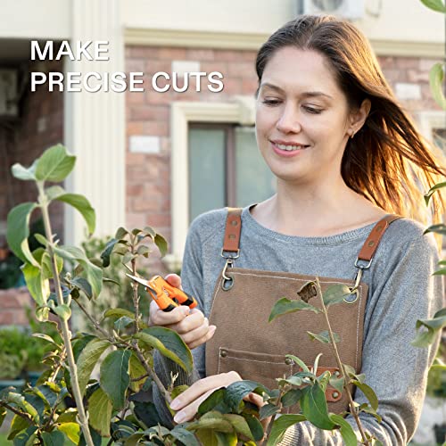 6.5 Inch Garden Scissors (Orange Straight Blade / Orange)