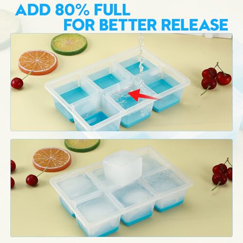 Ice Cube Trays 2 Pack (2 Count)