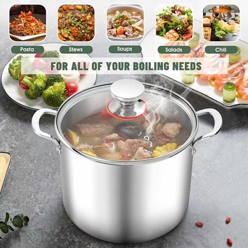 12 Quart 18 10 Stainless Steel Stock Pot with Lid