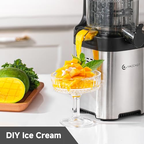 Cold Press Juicer (Silver / 5.4-inch)