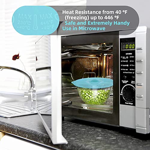 Silicone Lids for Food Storage (Clear Turqouise)