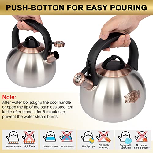 3.1 Quart Teal Whistling Tea Kettle for Stove Top (Silver)