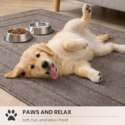Dirt Trapping Door Mat Indoor Entrance (Grayish Brown / 20" X 31.5" (Rectangular))