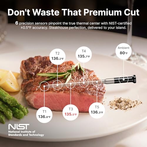 Sync Gold Dual Wireless WiFi Meat Thermometer with Carrying Case (2 Probes Set)