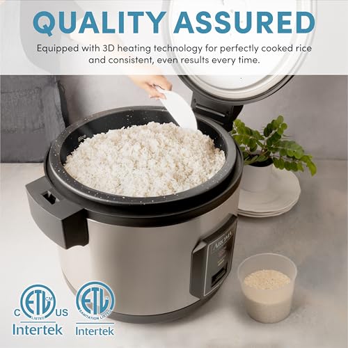 Commercial Rice Cooker for Restaurant (32-Cup UNCOOKED)