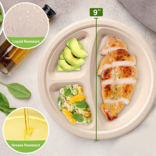 9 Inch Compartment Paper Plates (9 inch sectional 50 pack)
