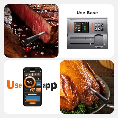 Dual Probes Meat Thermometer