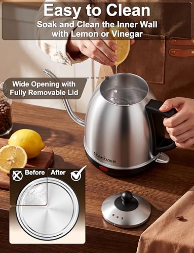 Gooseneck Electric Kettle (Silver)