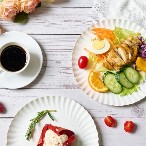 9 Inch Paper Plates (300 Count (Pack of 1,9 Inch))