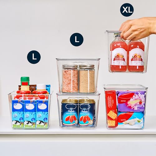 Large Clear Storage Bins with Lids (6 Count)