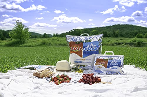 Hot and Cold Insulated Bags for Food Delivery (X Small (Meal Size))