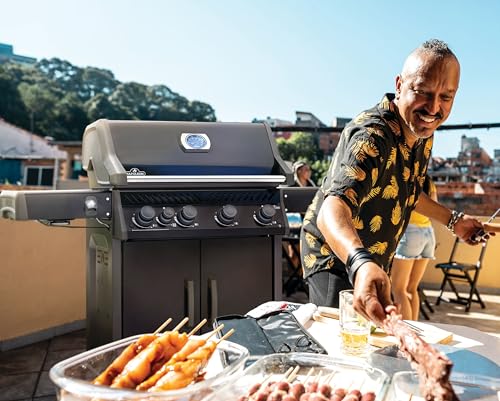 Rogue 525 4 Burner Natural Gas Grill with Stainless Steel Grates (Rogue 525 Natural Gas Black, SS Grids / Rogue 525)