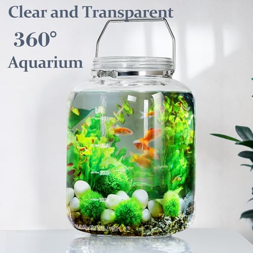 1.5 Gallon 5700 ML Glass Jar with Lid (1.5 Gallon)