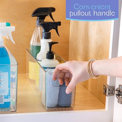 Plastic Food Storage 2 Pack Clear Container Bin with Handles for Organizing Kitchen (2 Count)