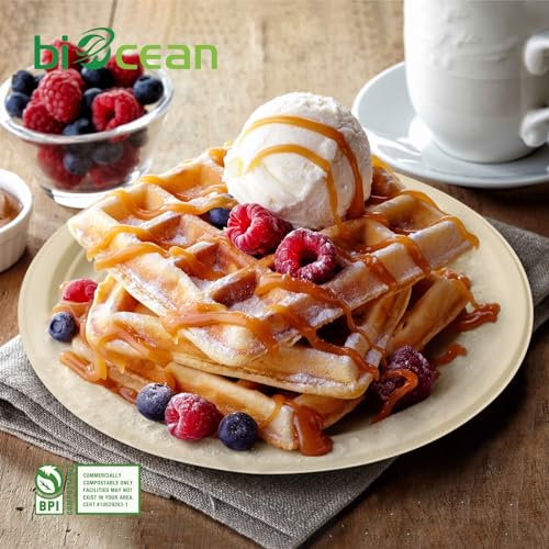 6 Inch Compostable Plates 100 Pack Heavy Duty Compostable Paper Plate (6In100PCNatural)