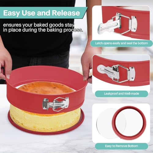 10In Glass Bottom Springform Pan