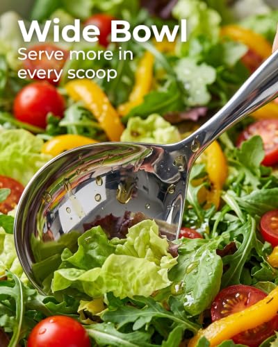 Stainless Steel Serving Spoon