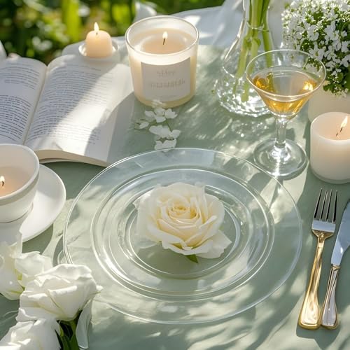 60PCS Clear Plastic Plates (60 Count)