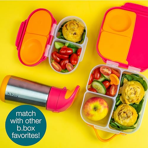 Mini Lunch Box