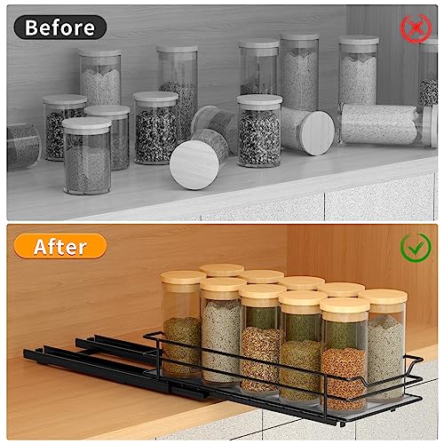Pull Out Spice Rack Organizer for Cabinet