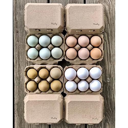 Half Dozen Blank Egg Cartons (Tan / 20)