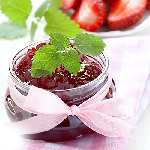 24 Pack 4 oz Glass Mason Jars (4oz,24 Pack)