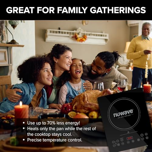 Portable Induction Cooktop