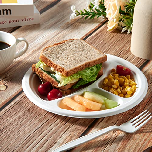 Compostable Paper Plates (3 Compartment 9 inch White)