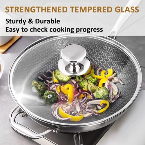 Glass Lid for 10.25 Inch Stainless Steel Cast Iron Skillets Frying Pans (10.25" / Stainless Steel Rim & Handle)