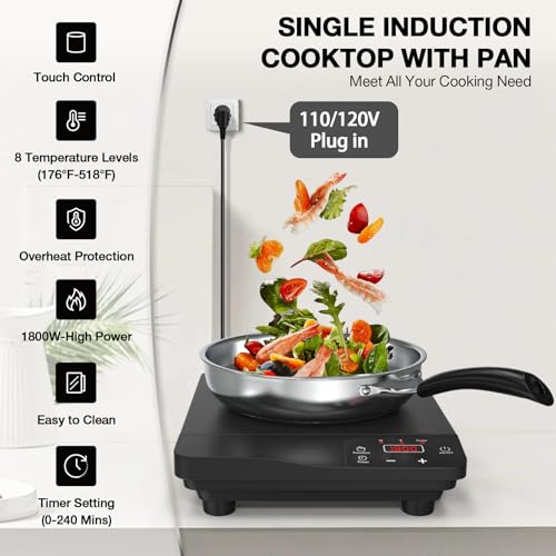 Portable Induction Cooktop 1800W (11 Inch Black)