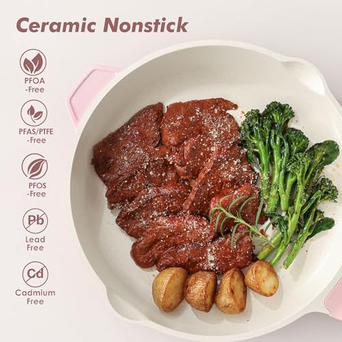 Nonstick Skillet with Lid 12 (Sakura Pink / 12-inch/5QT)