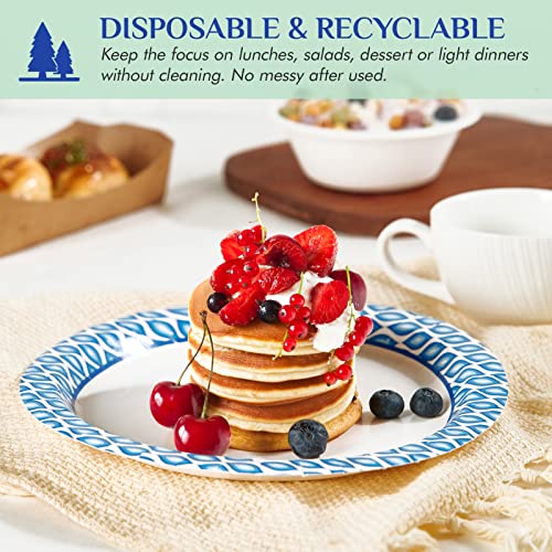 8.375 Inch Disposable Paper Plates (300 Count (Pack of 1))