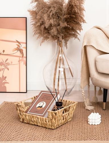 Pantry Baskets for Organizing (Natural(Water Hyacinth) / 13 ½"L x 10 ¾"W x 5"H)