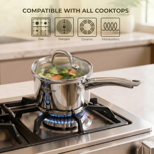 Stainless Steel Saucepan