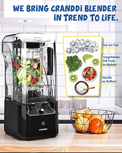 Quiet Commercial Blender with Soundproof Shield (Black)