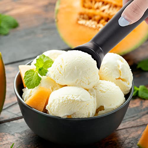 12 Pcs Ice Cream Scoop Set (12 Count)