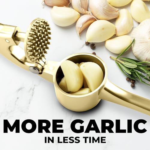 Large Premium Garlic Press Set