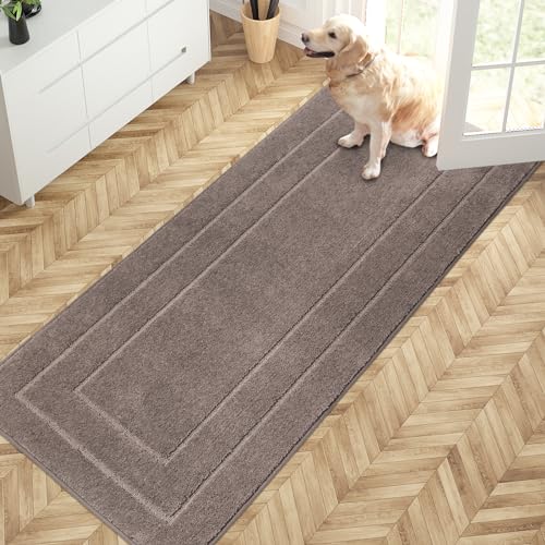 Hallway Runner Rug (Grayish Brown / 2'8" x 5'10" (Runner))