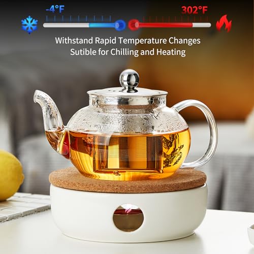 Small Glass Teapot with Infuser (Transparent / 18OZ)