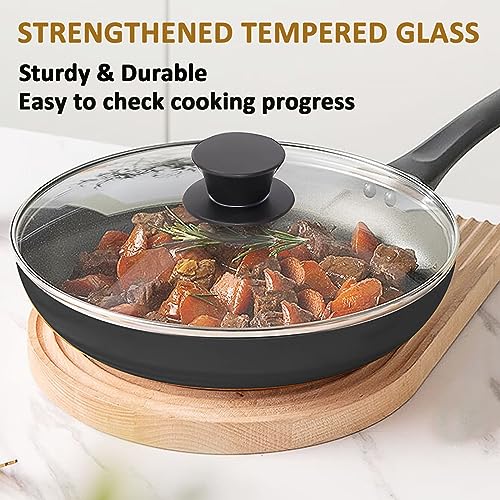 Glass Lid for Cast Iron Pan (10.25" / Stainless Steel Rim)