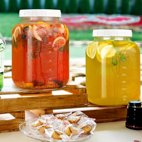 2 Pack Wide Mouth 1 Gallon Clear Glass Jar with Lid (1 Gallon)